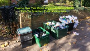 Check Out The Best Waste Management Tips To Survive This Lockdown